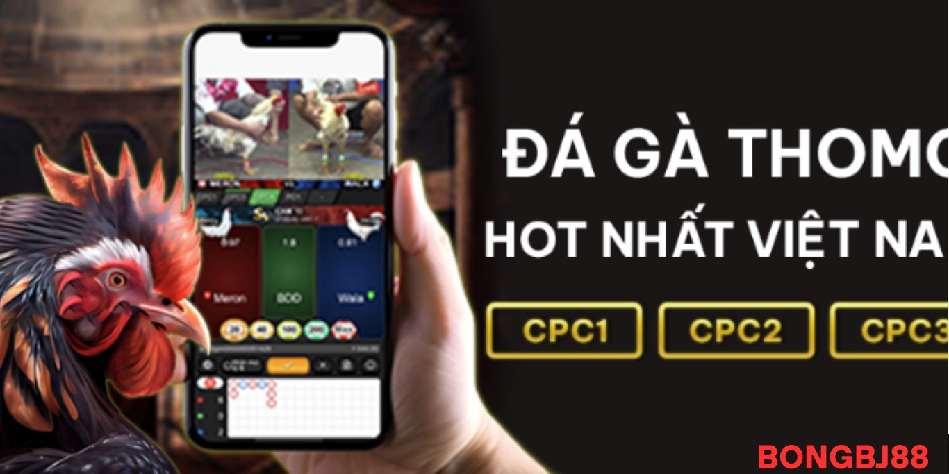Bí quyết dành cho người chơi BJ88 ĐÁ GÀ