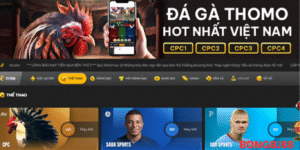 Chiến thuật thi đấu – Tối ưu hóa khả năng chiến thắng