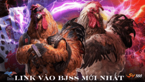 link vào đá gà bj88 mới nhất