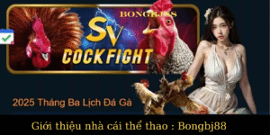 Chiến lược cá cược hiệu quả tại Trang Bóng Đá Nhà Cái Bj88