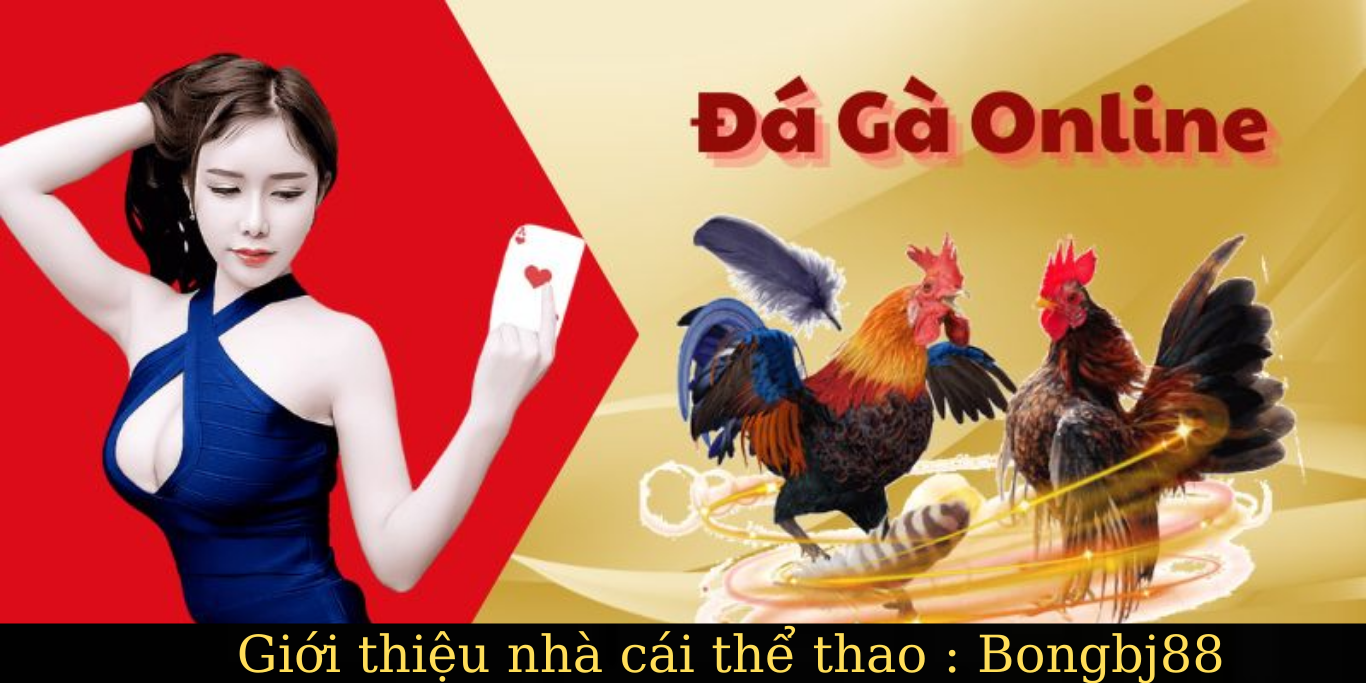 tính minh bạch đá gà thể thao bóng đá nhà cái bongbj88