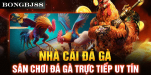 Các loại hình cá cược thể thao phổ biến tại Bongbj88