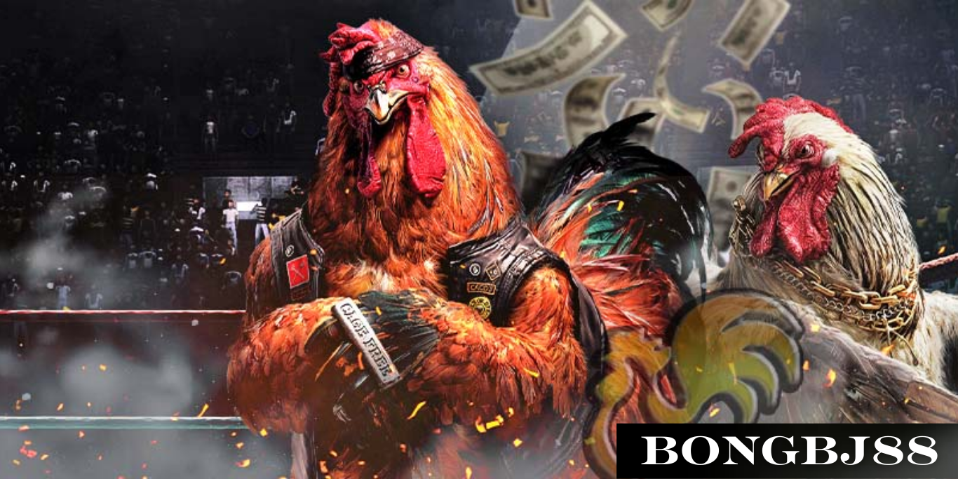 trang chủ thể thao đá gà bóng đá trang bongbj88